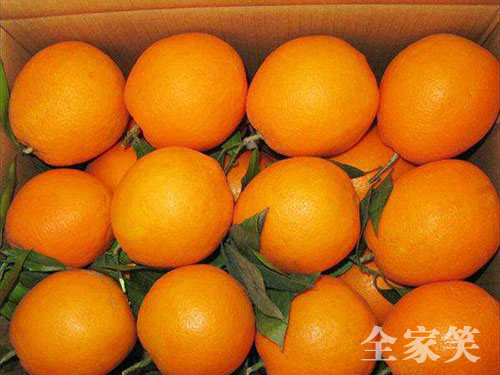 紐荷爾臍橙（圖七）