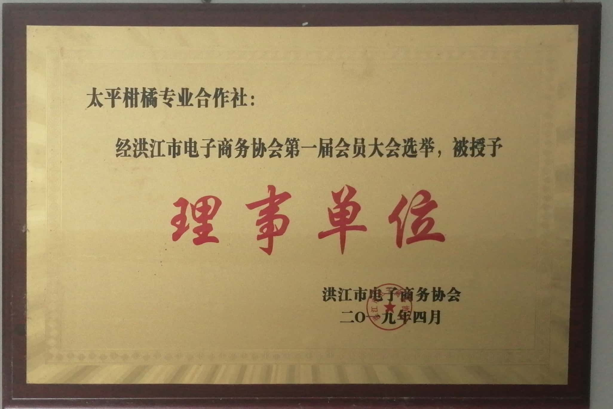洪江電子商務(wù)協(xié)會理事單位