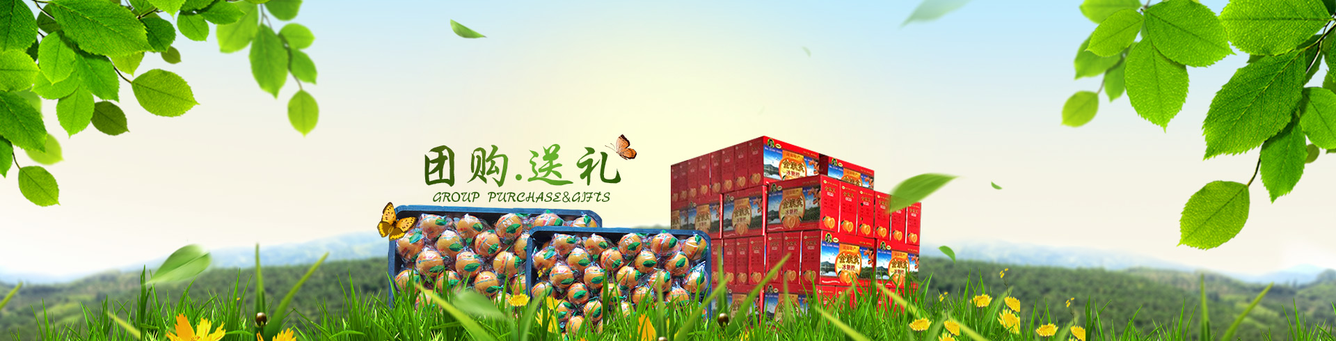 洪江市太平柑桔專業(yè)合作社_全家笑柑桔|洪江市柑桔|洪江市冰糖橙|紐荷爾臍橙