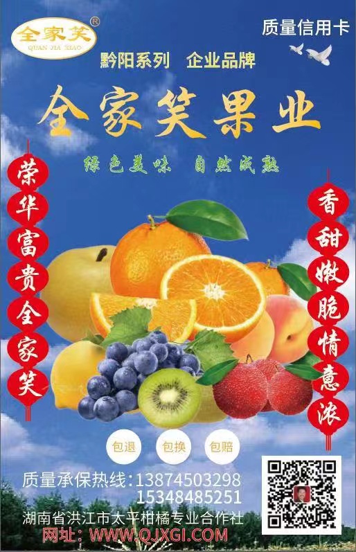 洪江市太平柑桔專業(yè)合作社,全家笑柑桔,洪江市冰糖橙,紐荷爾臍橙