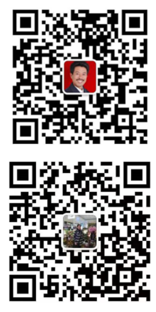 洪江市太平柑桔專(zhuān)業(yè)合作社,全家笑柑桔,洪江市冰糖橙,紐荷爾臍橙